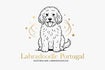 Labradoodle Portugal
