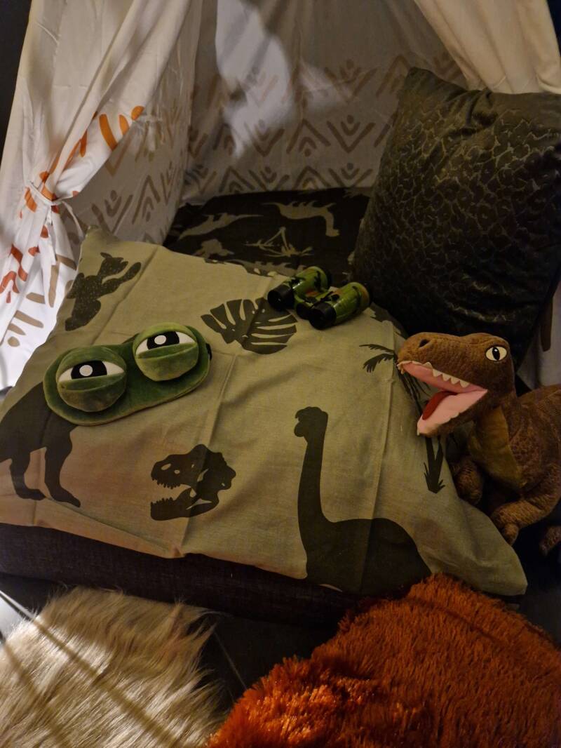 tipi slaapfeestje thema dino by night detail