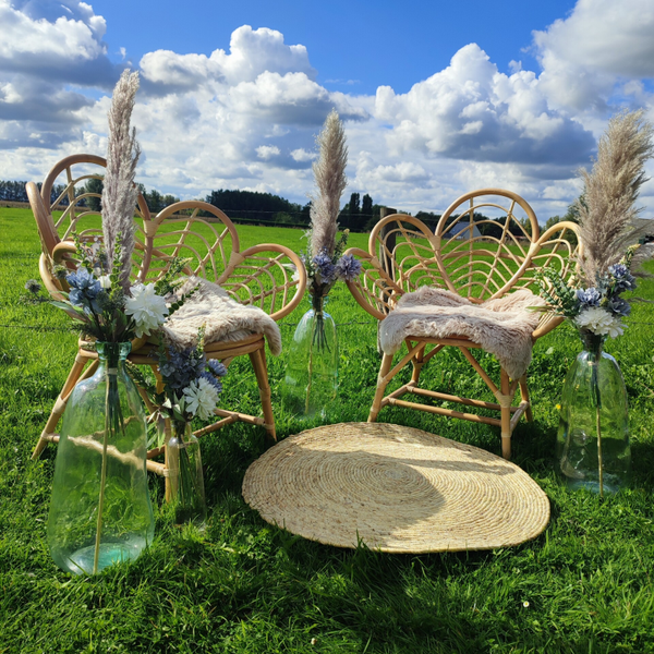 Set Rotan Lotus stoelen - pampas grassen