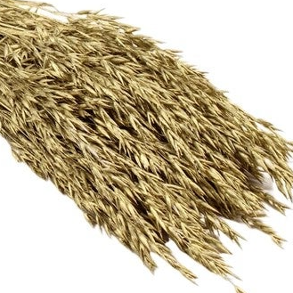 Avena / gedroogde haver