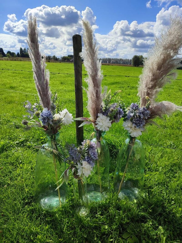 Pakket Pampasgrassen grote vazen