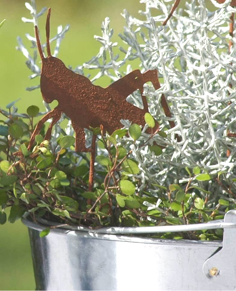 Tuinsteker Sprinkhaan