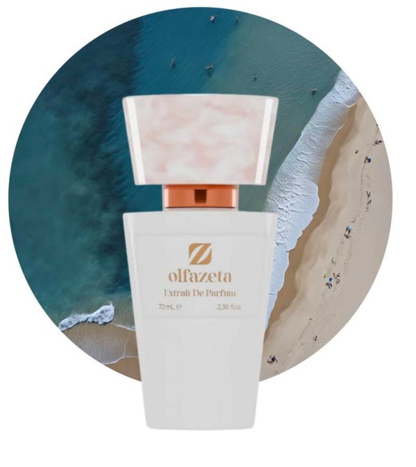 N° 49 insp. par DG Dolce