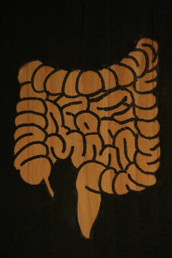 Darmen 2/3 (60x90x0.5)