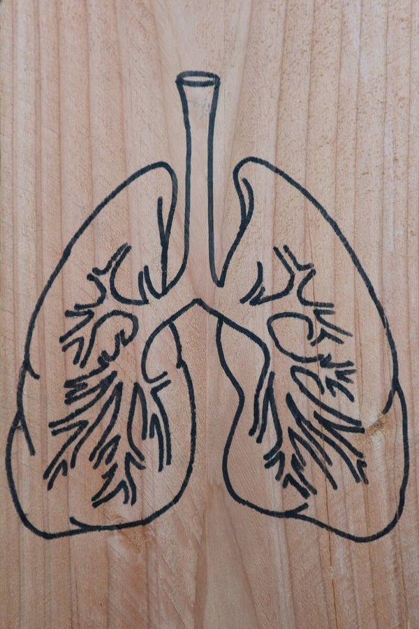 Longen 1/3 (60x90x0.5)