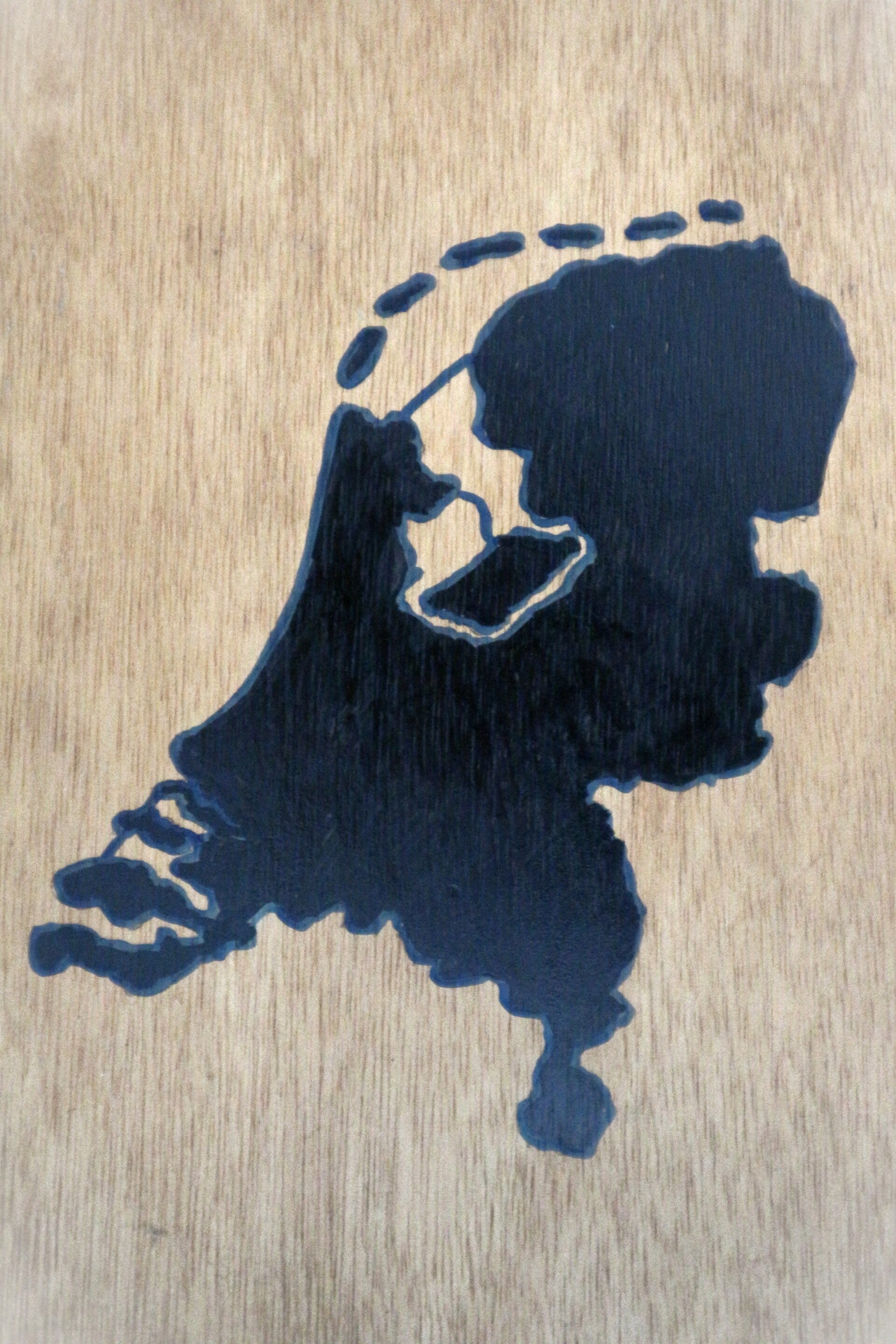 Nederland 2/3 (40x60x1)