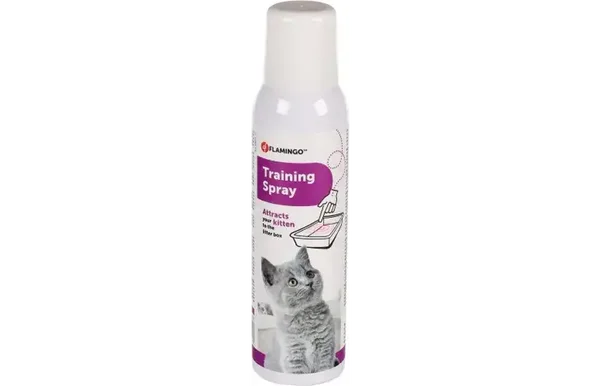 kitten spray training