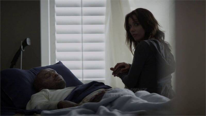 Continuum, Blake's 7, Babylon 5, Star Trek, Stargate, Battlestar Galactica, The Expanse, The Orville,  Dark Matter, Doctor Who, Torchwood