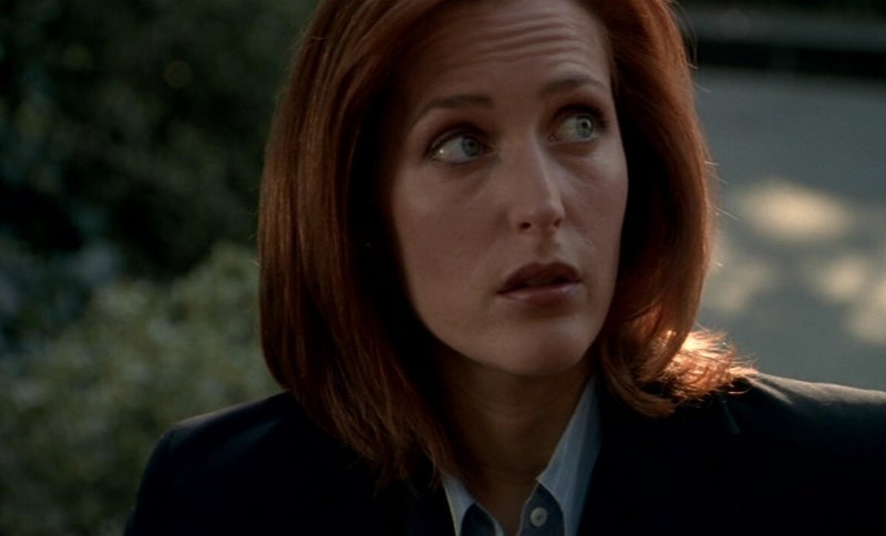 X-Files, Blake's 7, Babylon 5, Star Trek, Stargate, Battlestar Galactica, The Expanse, The Orville,  Dark Matter, Doctor Who, Torchwood