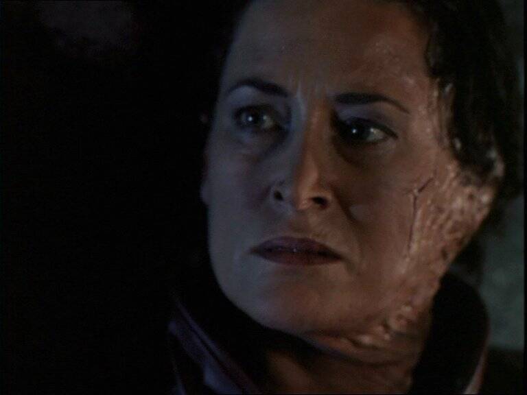 Farscape, Blake's 7, Babylon 5, Star Trek, Stargate, Battlestar Galactica, The Expanse, The Orville,  Dark Matter, Doctor Who, Torchwood