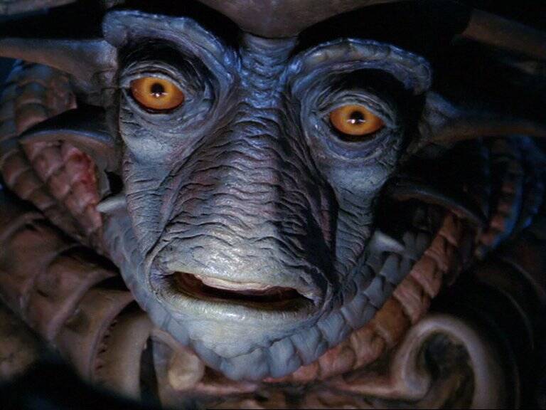 Farscape, Blake's 7, Babylon 5, Star Trek, Stargate, Battlestar Galactica, The Expanse, The Orville,  Dark Matter, Doctor Who, Torchwood