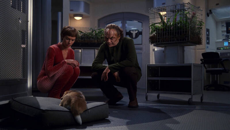 star trek, star wars, sci-fi, alternative universe, space, spaceships, time-travel, stargate