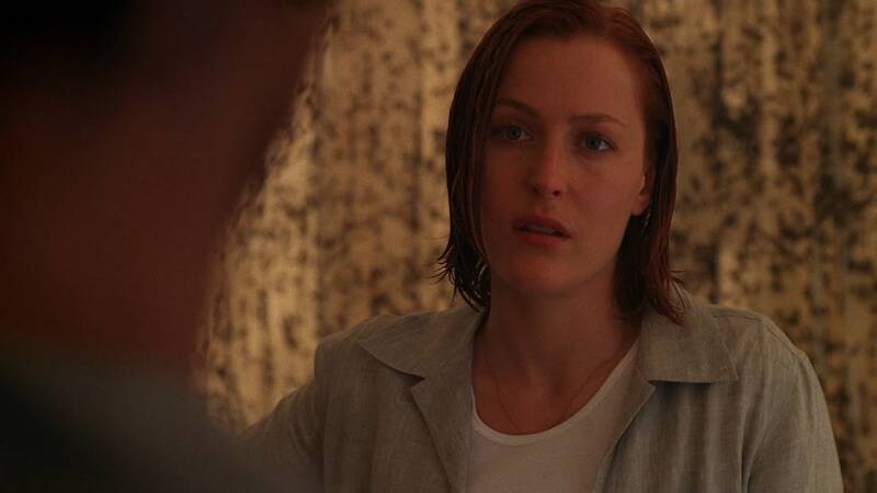 X-Files, Blake's 7, Babylon 5, Star Trek, Stargate, Battlestar Galactica, The Expanse, The Orville,  Dark Matter, Doctor Who, Torchwood