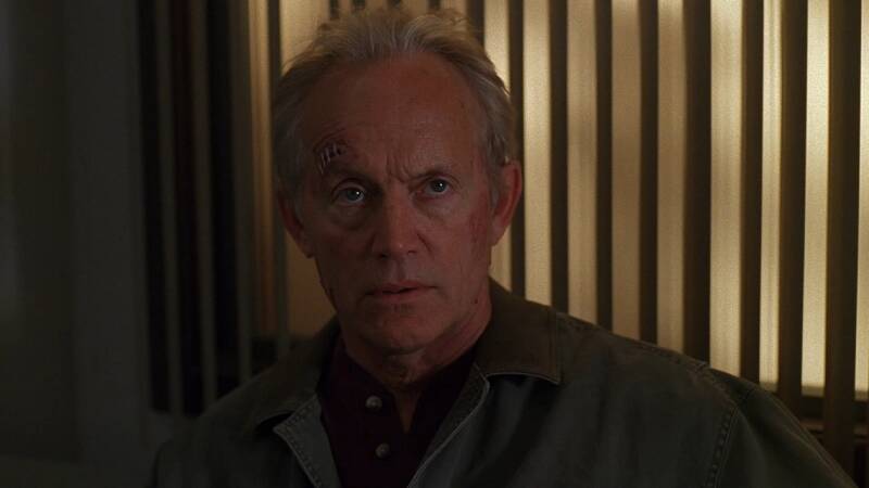 X-Files, Blake's 7, Babylon 5, Star Trek, Stargate, Battlestar Galactica, The Expanse, The Orville,  Dark Matter, Doctor Who, Torchwood