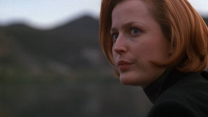 X-Files, Blake's 7, Babylon 5, Star Trek, Stargate, Battlestar Galactica, The Expanse, The Orville,  Dark Matter, Doctor Who, Torchwood