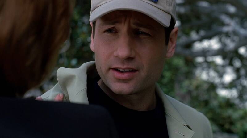 X-Files, Blake's 7, Babylon 5, Star Trek, Stargate, Battlestar Galactica, The Expanse, The Orville,  Dark Matter, Doctor Who, Torchwood