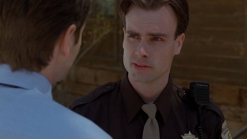 X-Files, Blake's 7, Babylon 5, Star Trek, Stargate, Battlestar Galactica, The Expanse, The Orville,  Dark Matter, Doctor Who, Torchwood