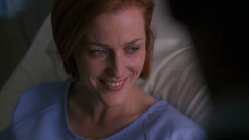 X-Files, Blake's 7, Babylon 5, Star Trek, Stargate, Battlestar Galactica, The Expanse, The Orville,  Dark Matter, Doctor Who, Torchwood