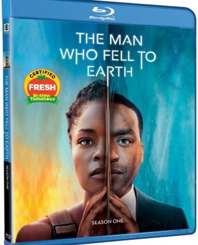 The Man Who Fell to Earth