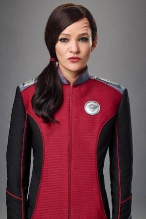 star trek, star wars, sci-fi, alternative universe, space, spaceships, time-travel, stargate