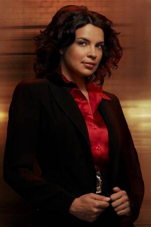 New Amsterdam, Crusade, Blake's 7, Babylon 5, Star Trek, Stargate, Battlestar Galactica, The Expanse, The Orville,  Dark Matter, Doctor Who, Torchwood