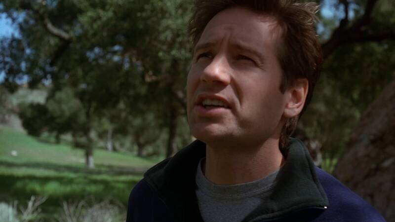 X-Files, Blake's 7, Babylon 5, Star Trek, Stargate, Battlestar Galactica, The Expanse, The Orville,  Dark Matter, Doctor Who, Torchwood