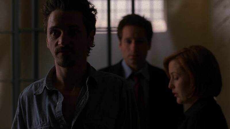 X-Files, Blake's 7, Babylon 5, Star Trek, Stargate, Battlestar Galactica, The Expanse, The Orville,  Dark Matter, Doctor Who, Torchwood