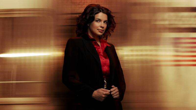 New Amsterdam, Crusade, Blake's 7, Babylon 5, Star Trek, Stargate, Battlestar Galactica, The Expanse, The Orville,  Dark Matter, Doctor Who, Torchwood