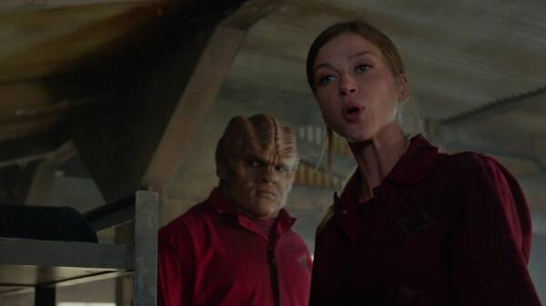 Blake's 7, Babylon 5, Star Trek, Stargate, Battlestar Galactica, The Expanse, The Orville,  Dark Matter, Doctor Who, Torchwood