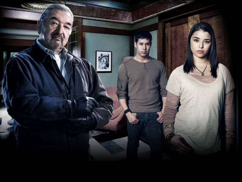 Defiance, Blake's 7, Babylon 5, Star Trek, Stargate, Battlestar Galactica, The Expanse, The Orville,  Dark Matter, Doctor Who, Torchwood