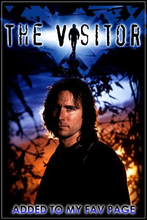 The Visitor 
