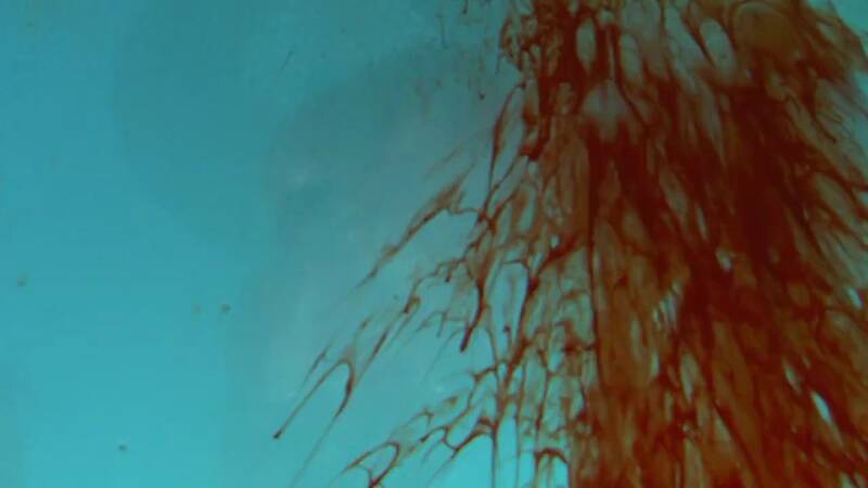 Babylon 5, Star Trek, Stargate, Battlestar Galactica, The Expanse, The Orville,  Dark Matter, Doctor Who, Torchwood, Dr Who