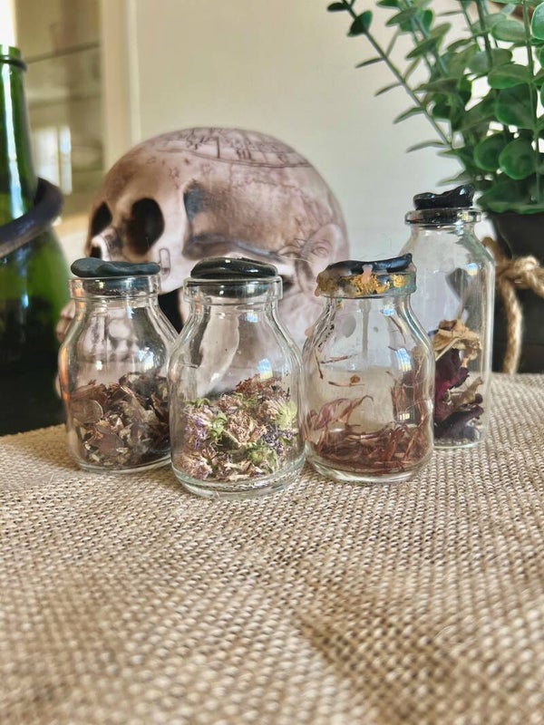 Lot de 4 fioles décoratives avec fleurs séchées