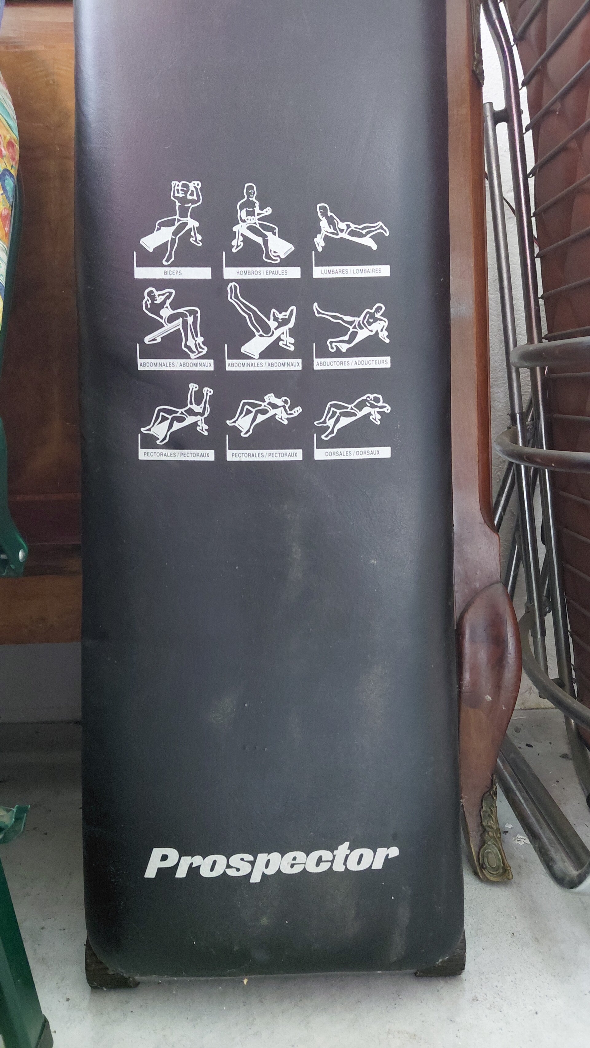 Panca palestra
