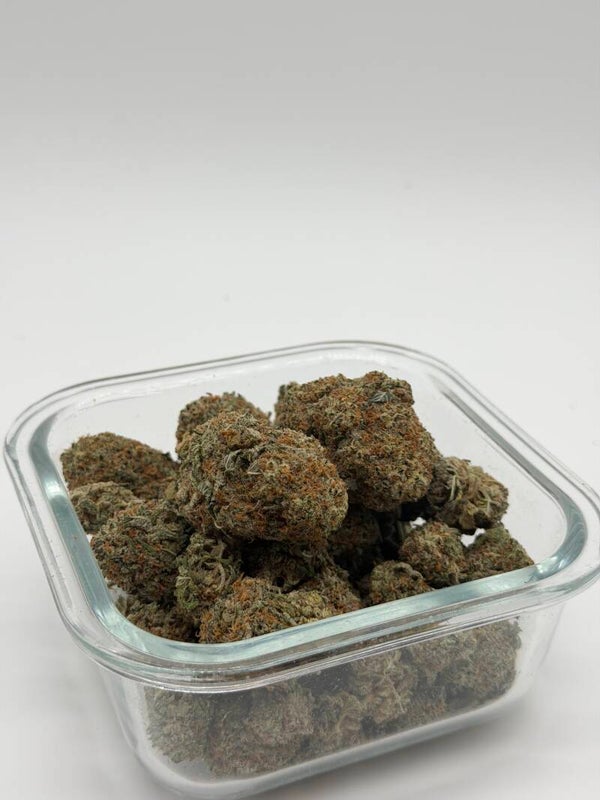 Gorilla Glue 5