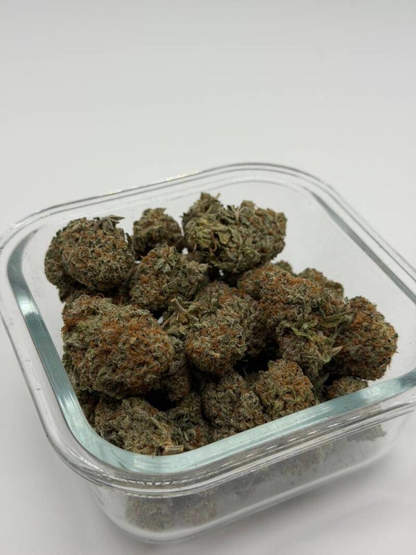 Gorilla Glue 5