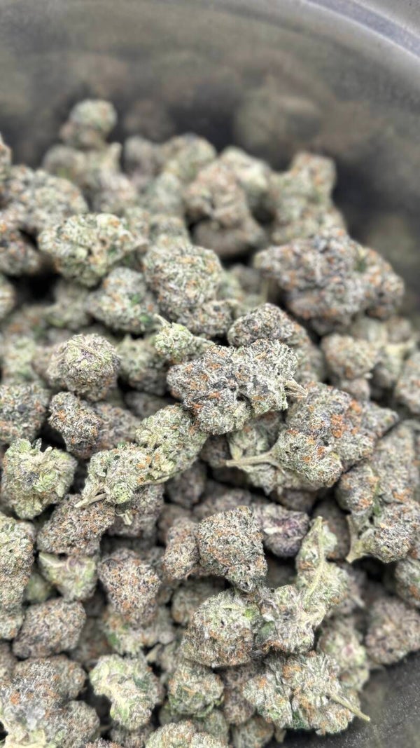 King Tut