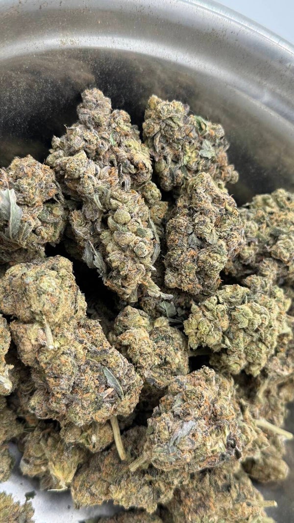 Durban Posion