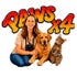 PAWS x 4
