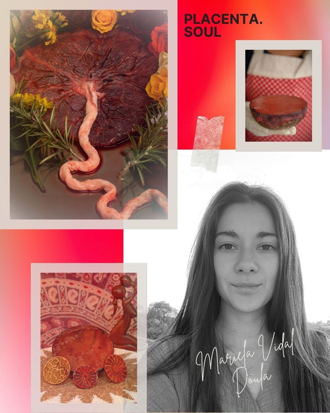placenta encapsulation post partum diet post partum recovery near me melbourme vic 