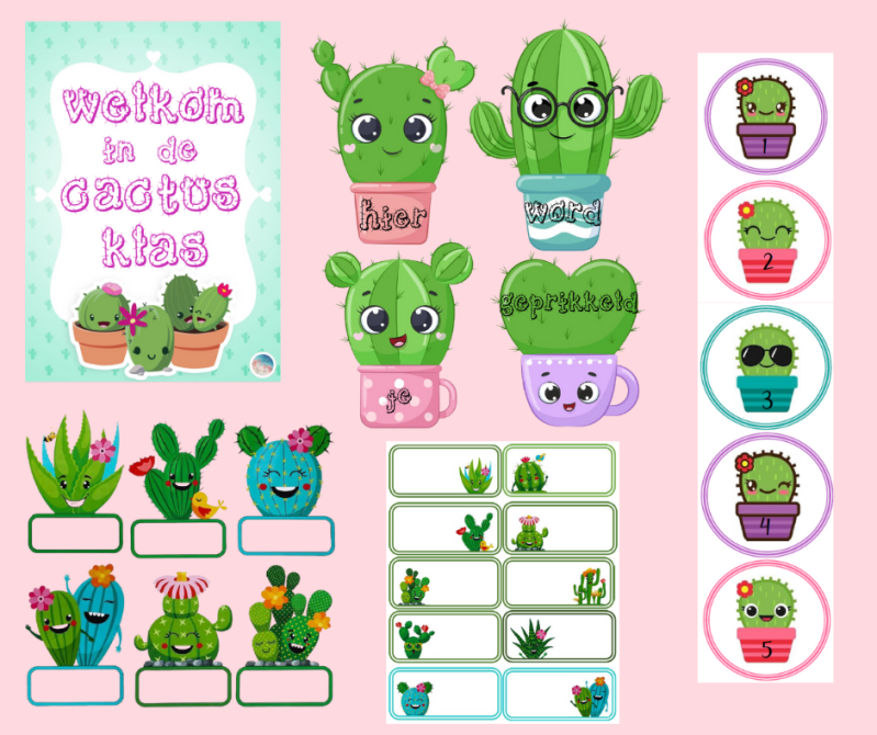 cactusthema klasversiering