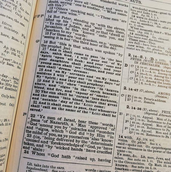 Bijbels/Bibles