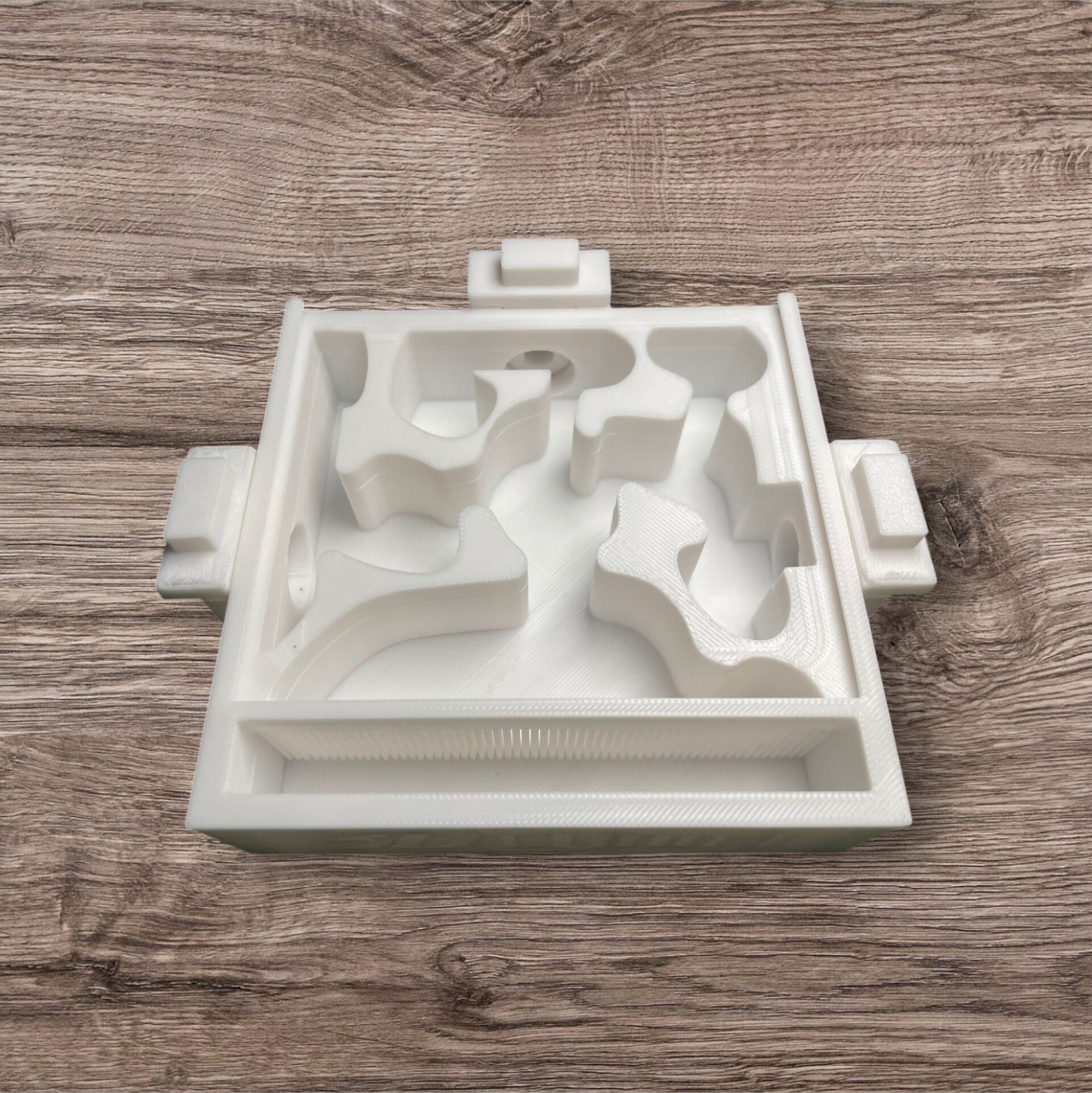 Ameisenfarm Standardnest Erweiterbar