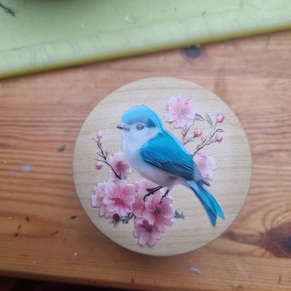 Kaarsje vogel
