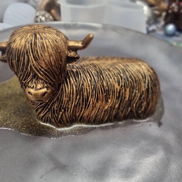 Groot bord highland cow