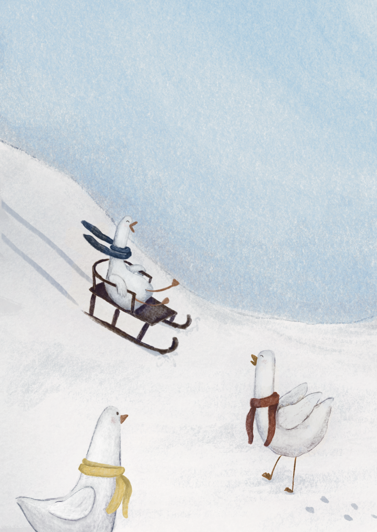 Kaartenset 'winter eenden'