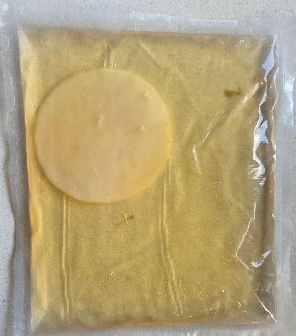 Green tea Kombucha Scoby