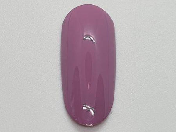 Höfler   Vernis Gel n:19