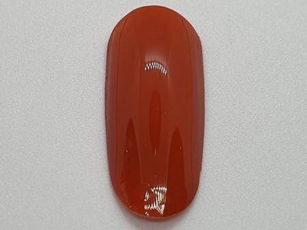 Höfler   Vernis Gel n:31
