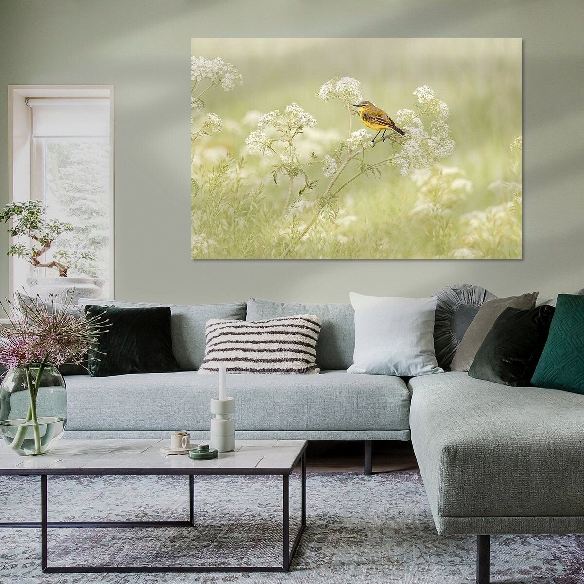 Gele kwikstaart op het fluitenkruid